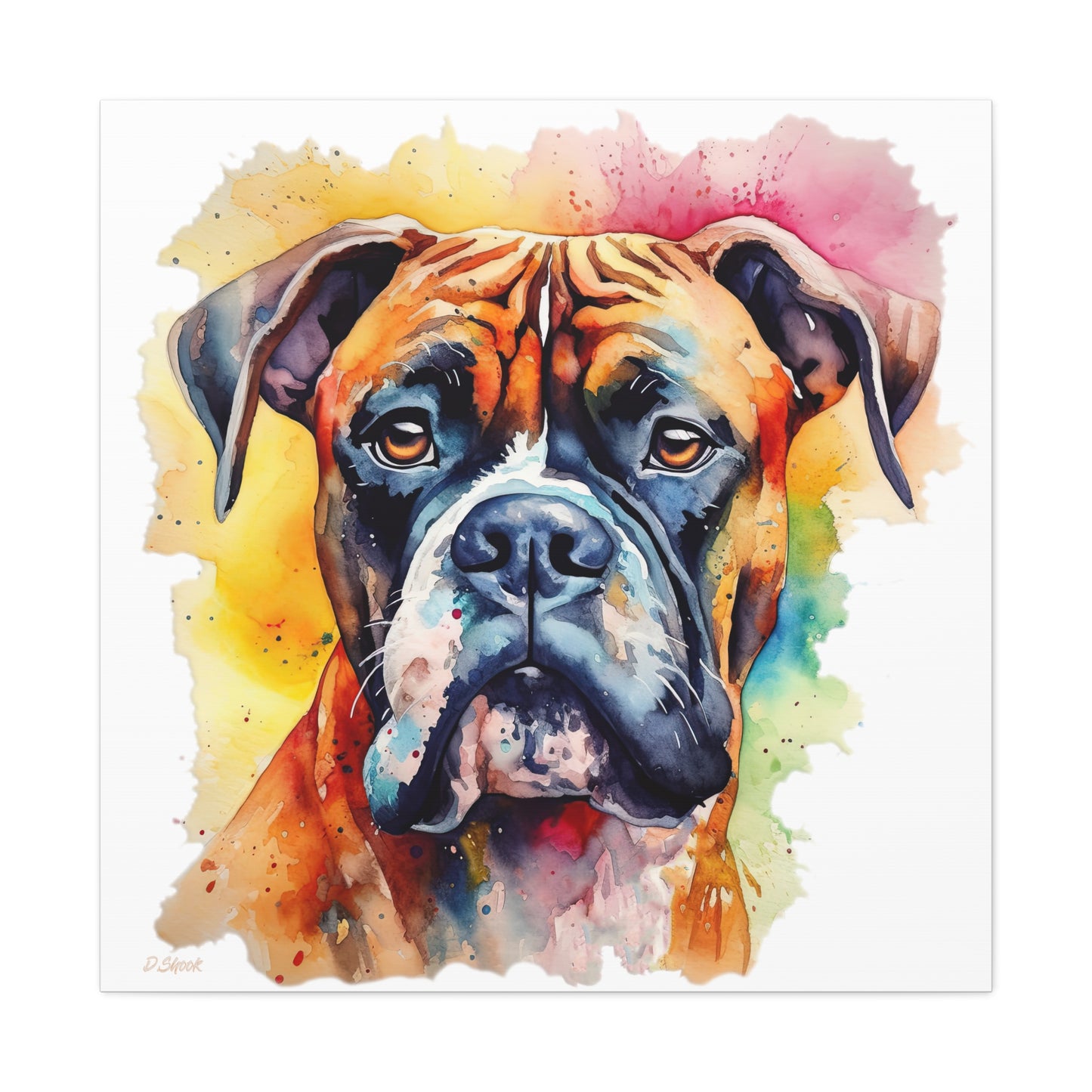 Boxer 1 Canvas Gallery Wraps