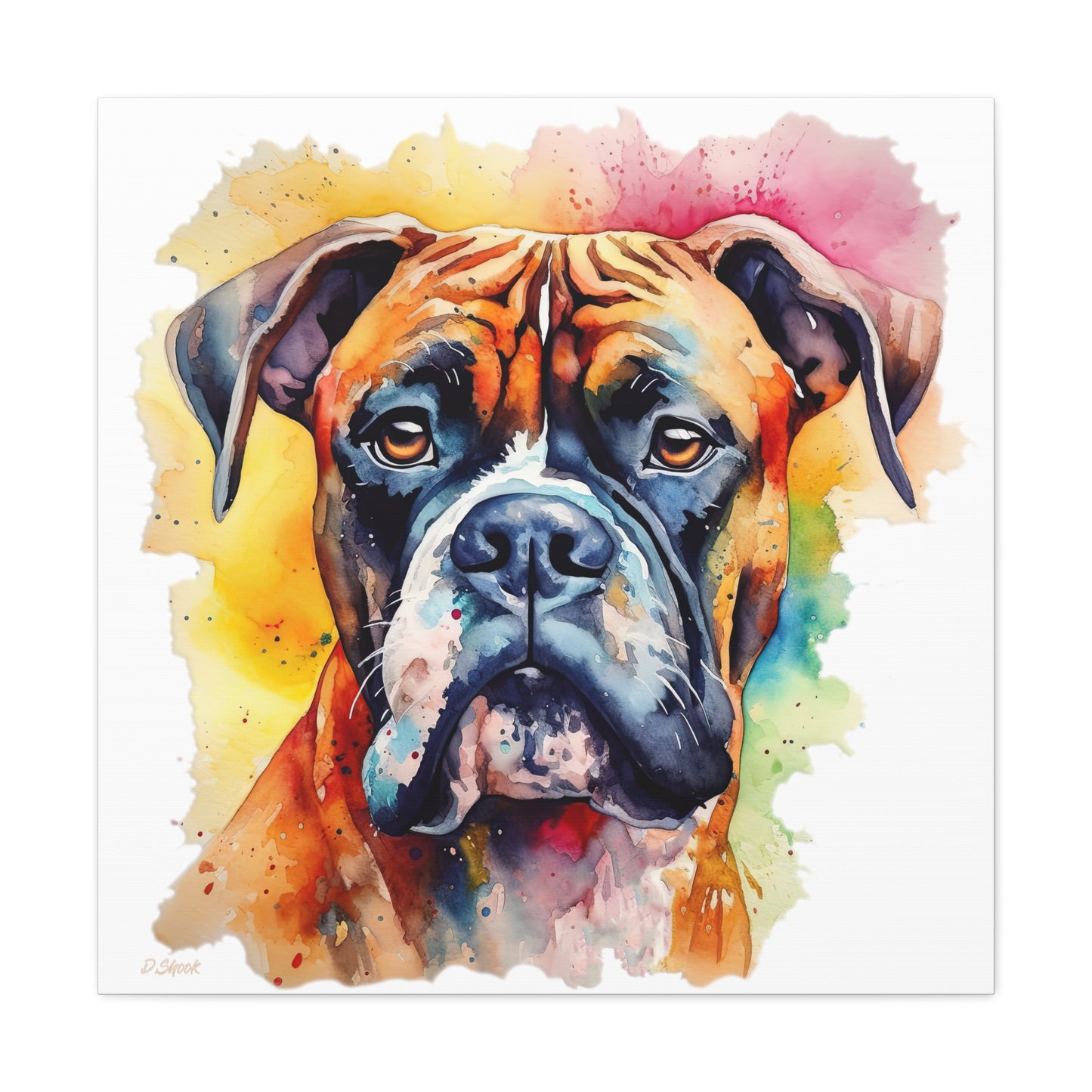 Boxer 1 Canvas Gallery Wraps