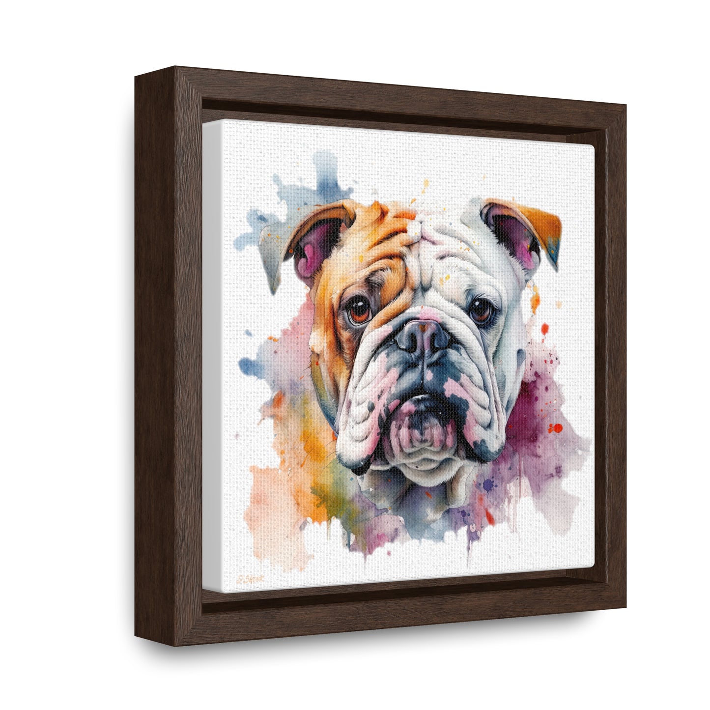 bulldog 1 Gallery Canvas Wraps, Square Frame