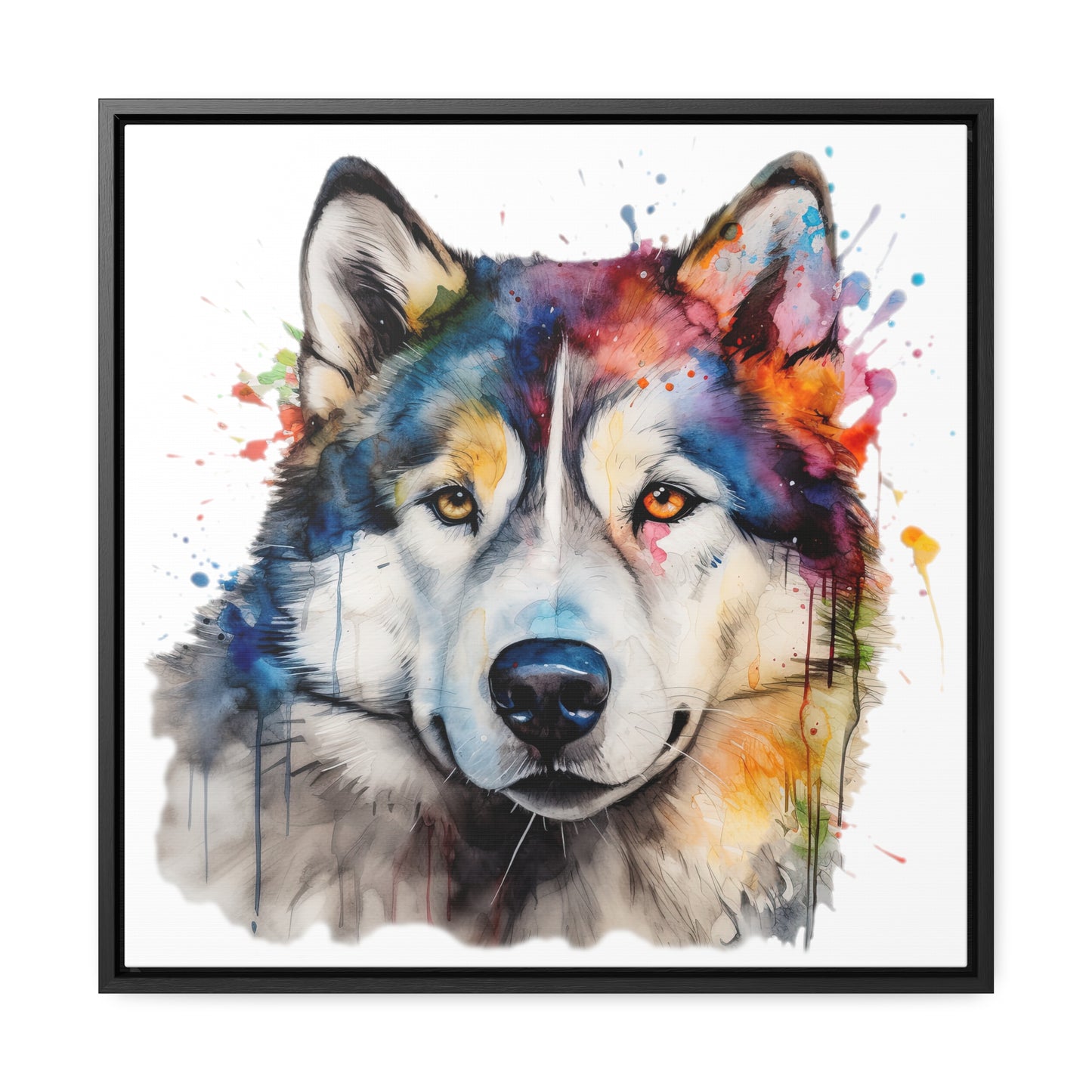 Alaskan Malamute 3 Gallery Canvas Wraps, Square Frame
