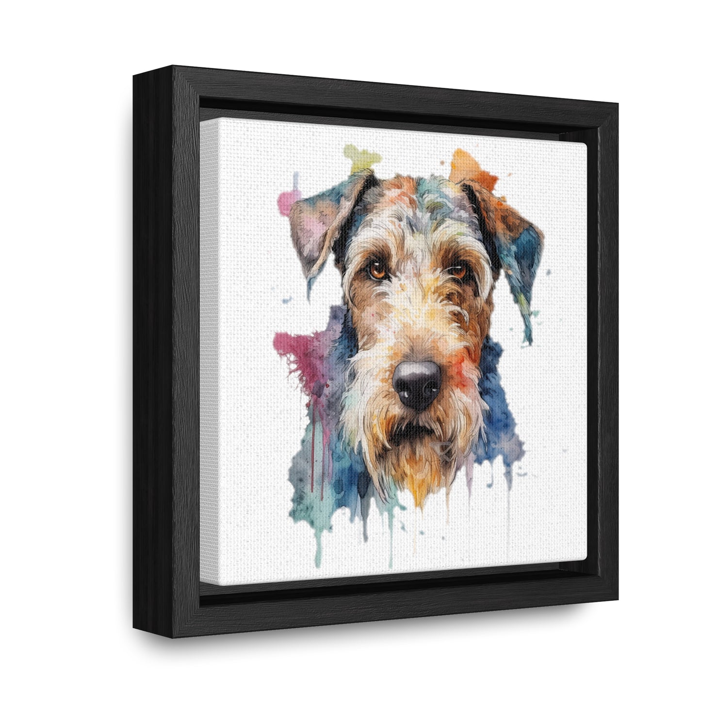 Airedale Terrier 2 Gallery Canvas Wraps, Square Frame