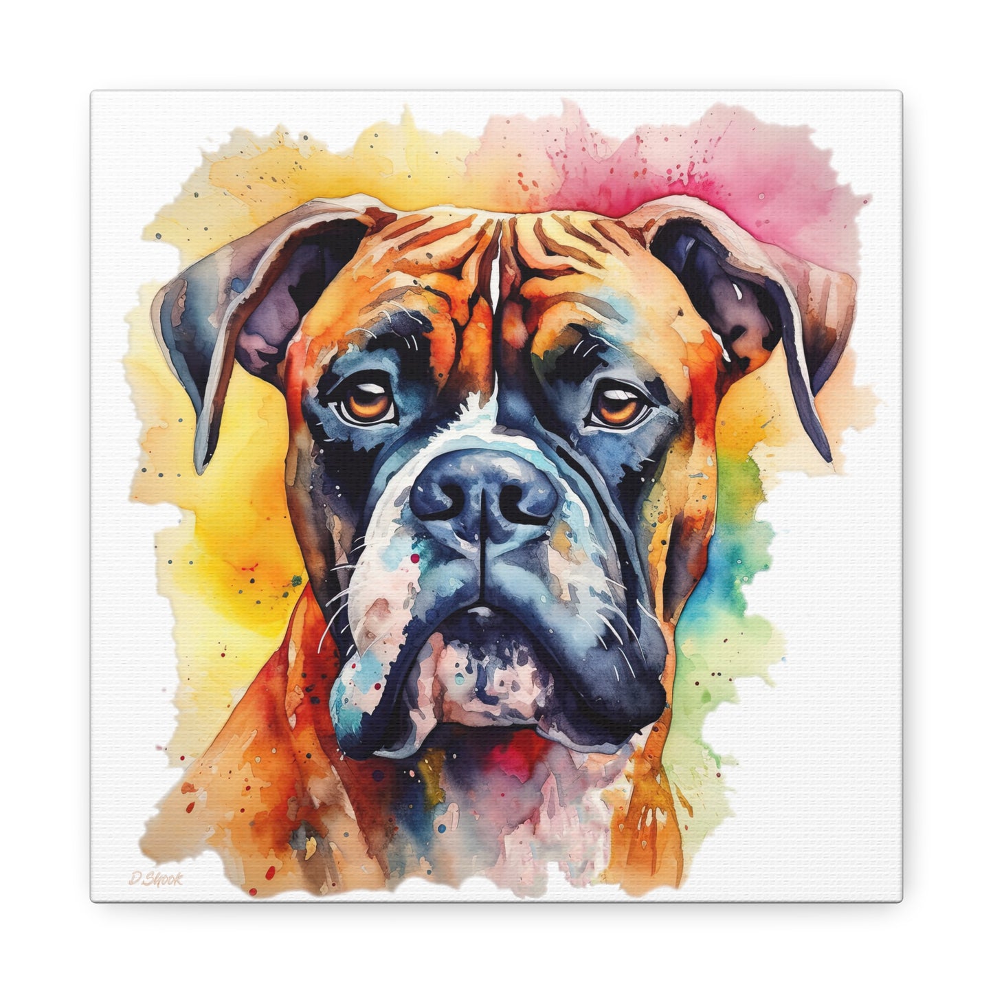 Boxer 1 Canvas Gallery Wraps