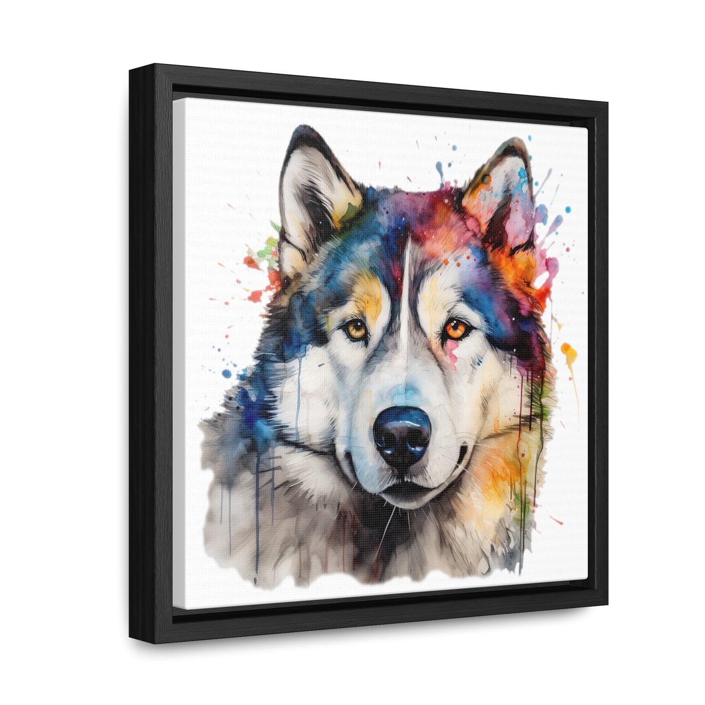 Alaskan Malamute 3 Gallery Canvas Wraps, Square Frame