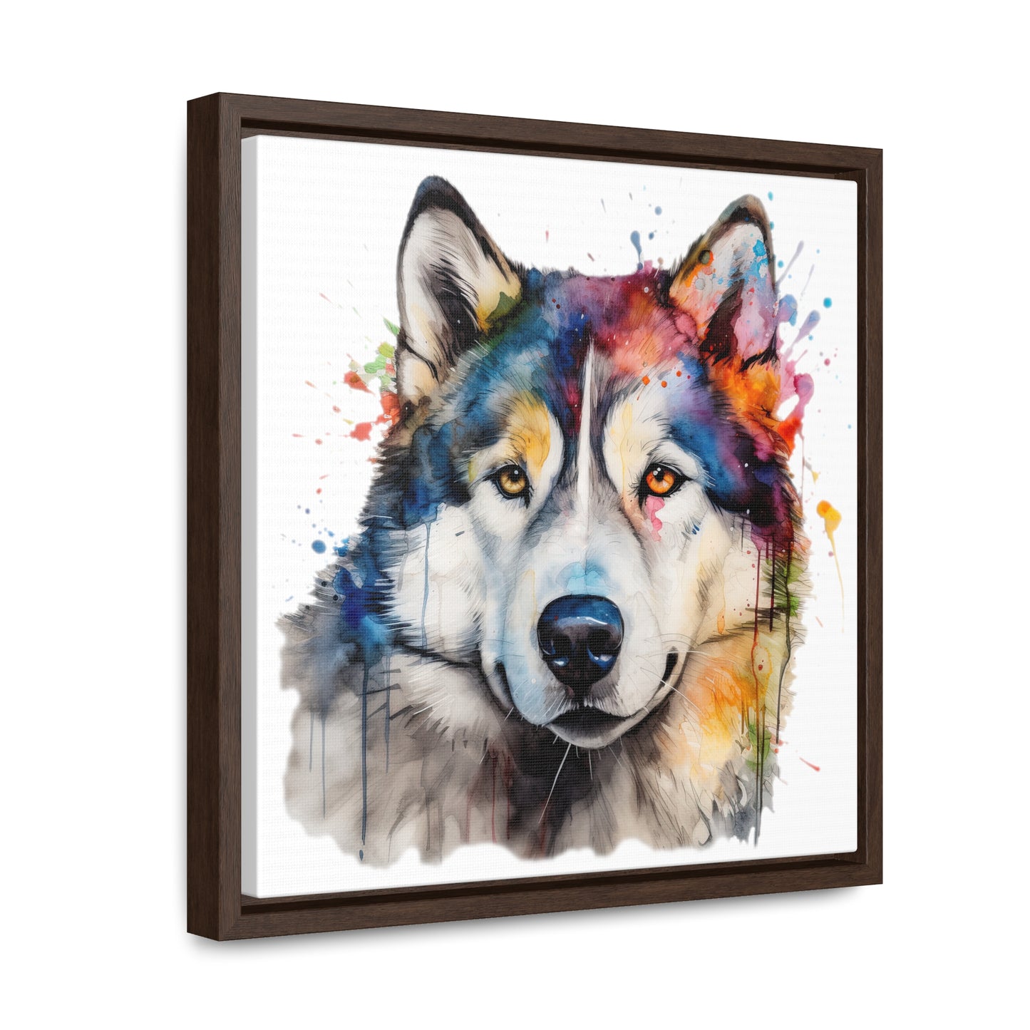 Alaskan Malamute 3 Gallery Canvas Wraps, Square Frame