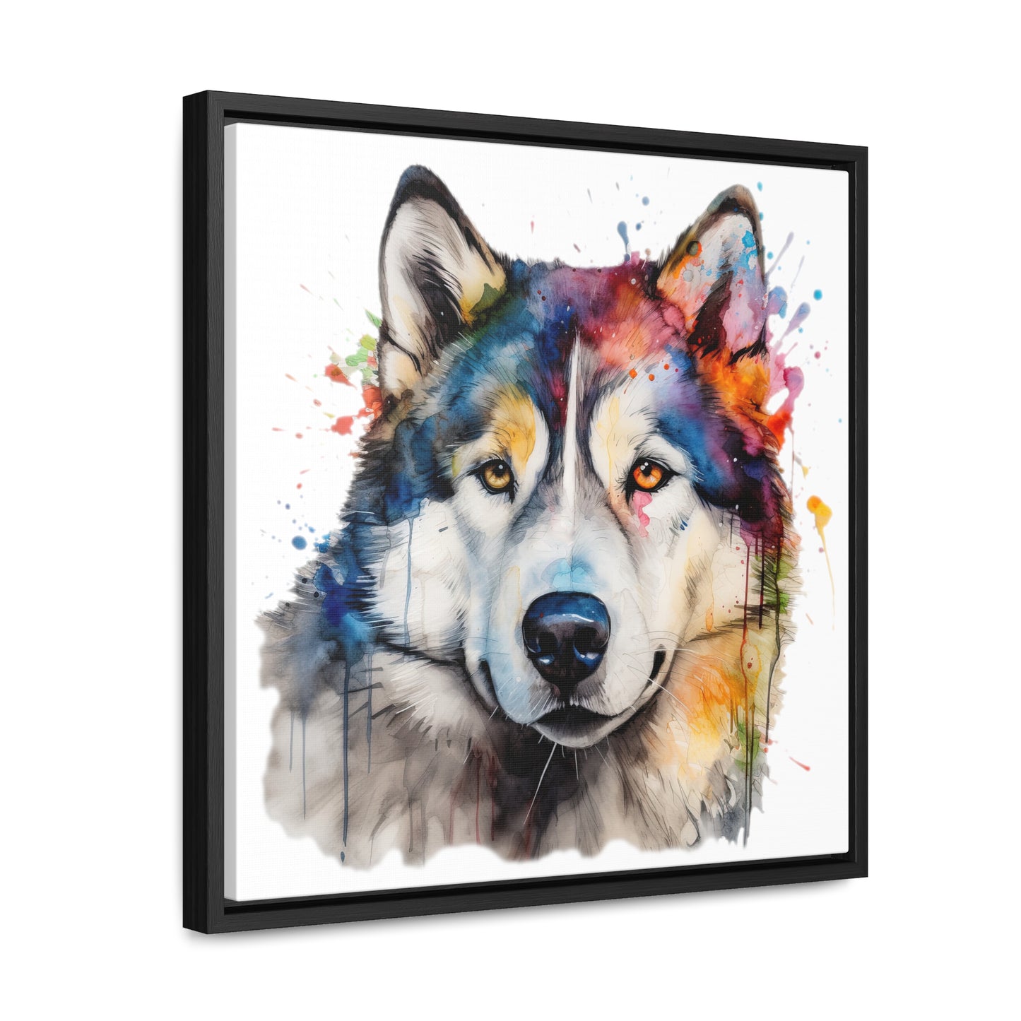 Alaskan Malamute 3 Gallery Canvas Wraps, Square Frame
