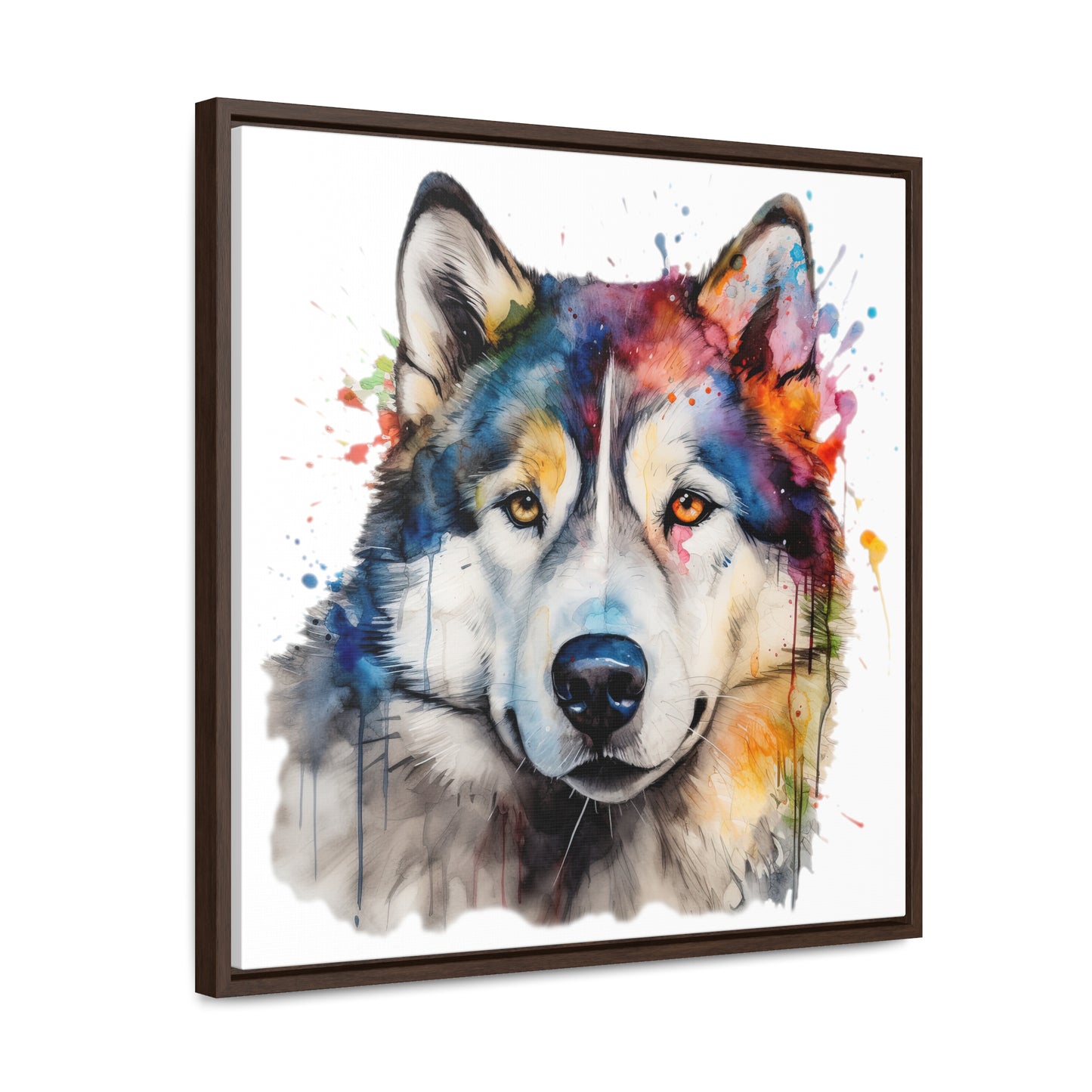 Alaskan Malamute 3 Gallery Canvas Wraps, Square Frame