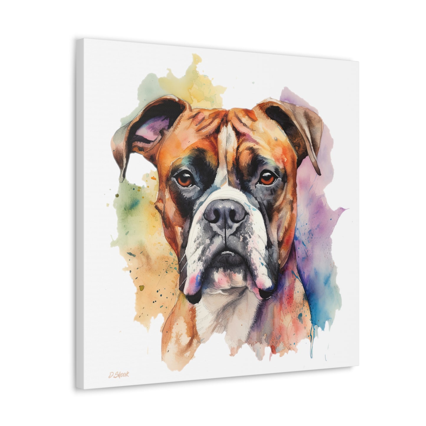 Boxer 2 Canvas Gallery Wraps