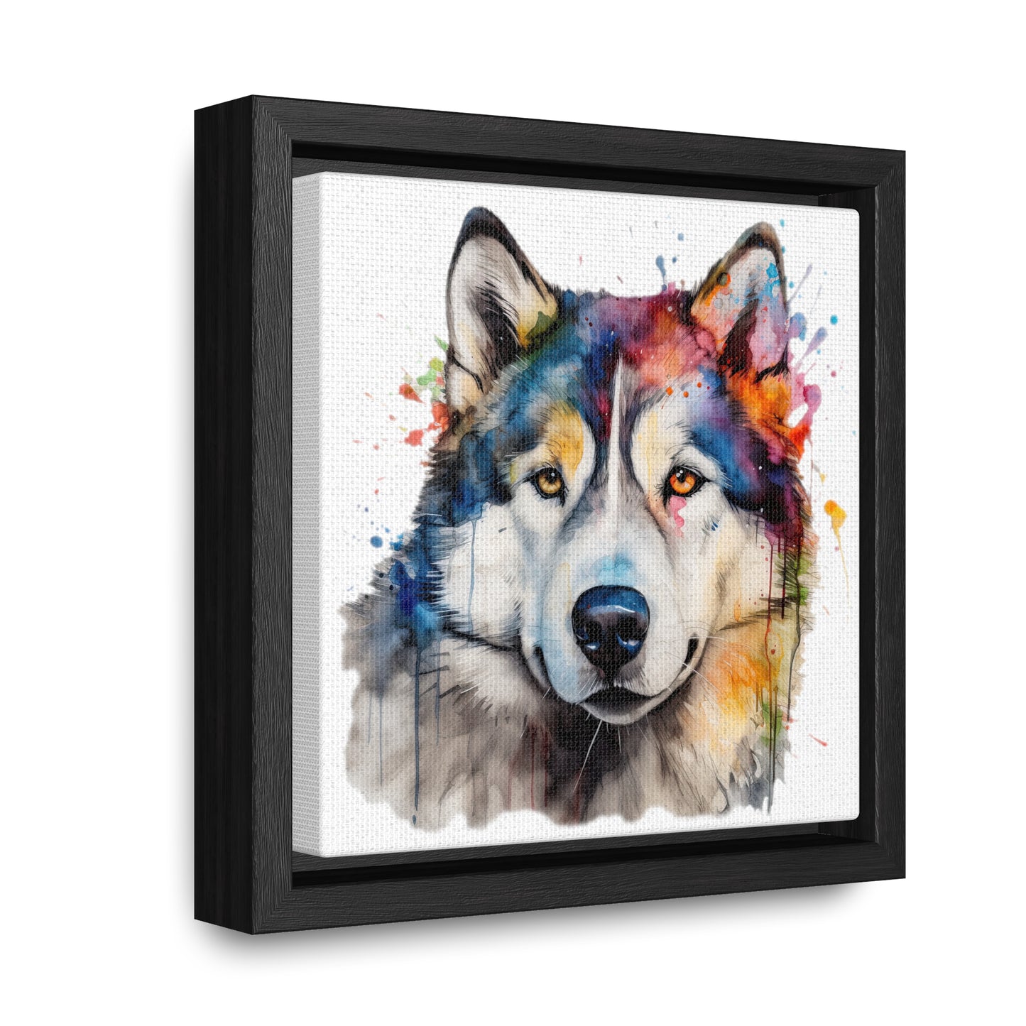 Alaskan Malamute 3 Gallery Canvas Wraps, Square Frame