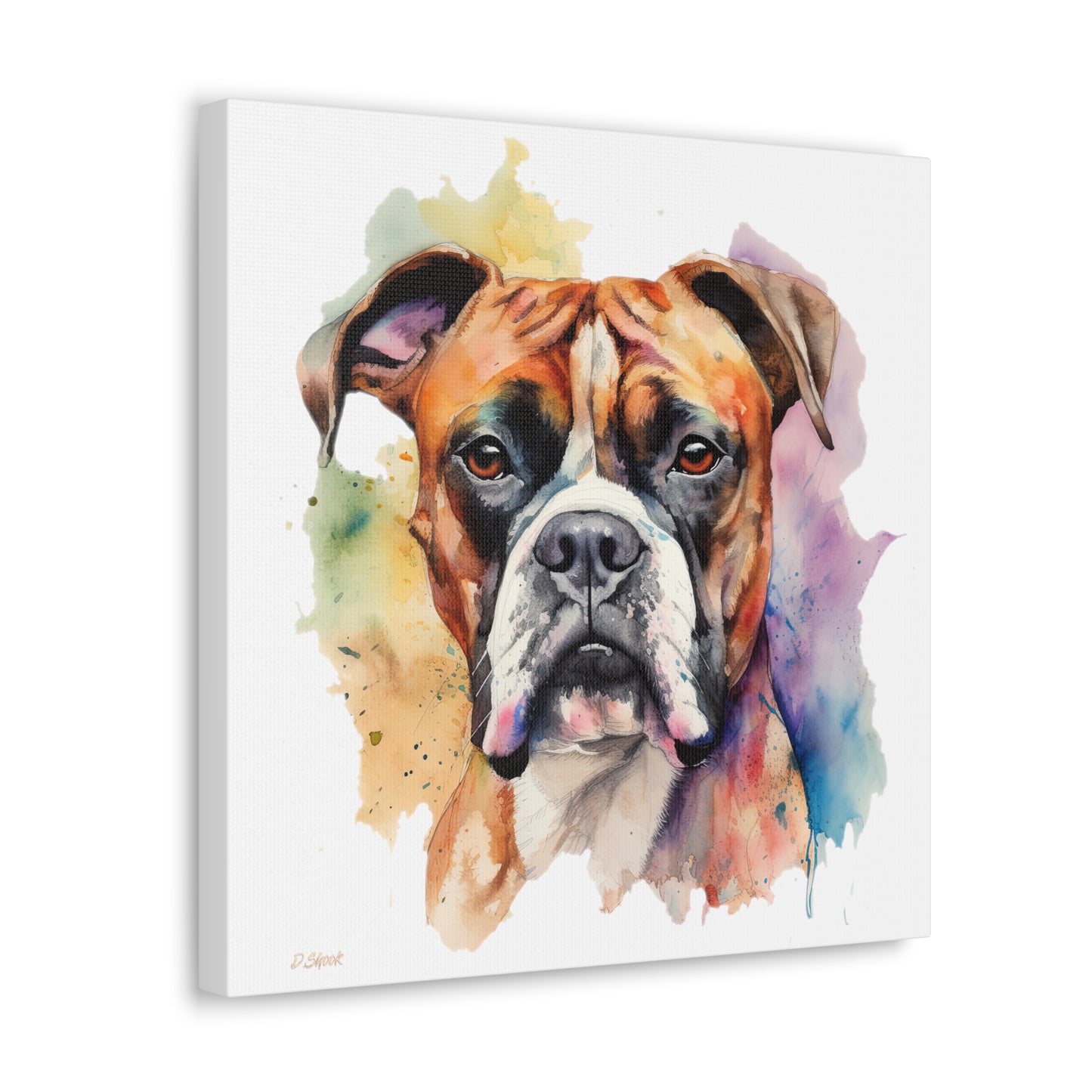 Boxer 2 Canvas Gallery Wraps