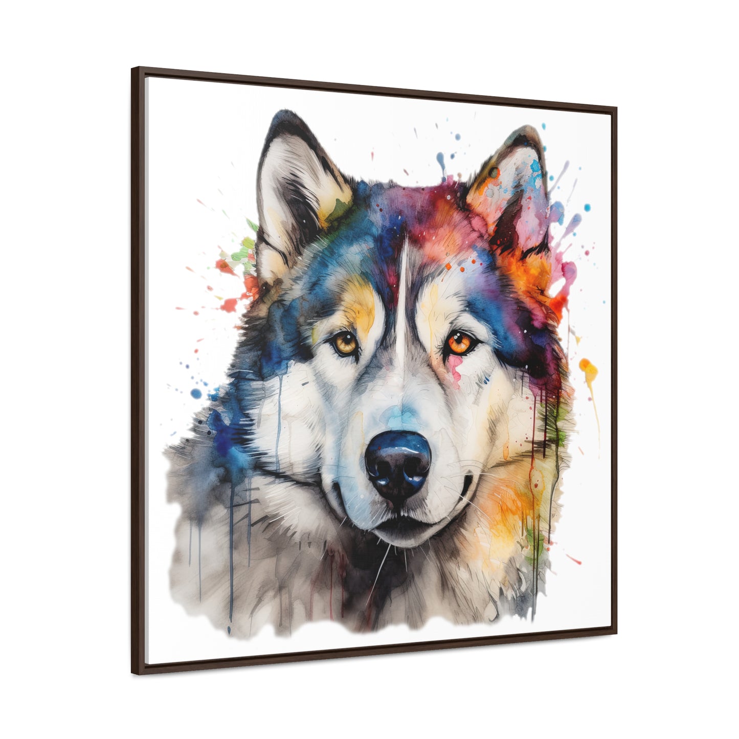 Alaskan Malamute 3 Gallery Canvas Wraps, Square Frame