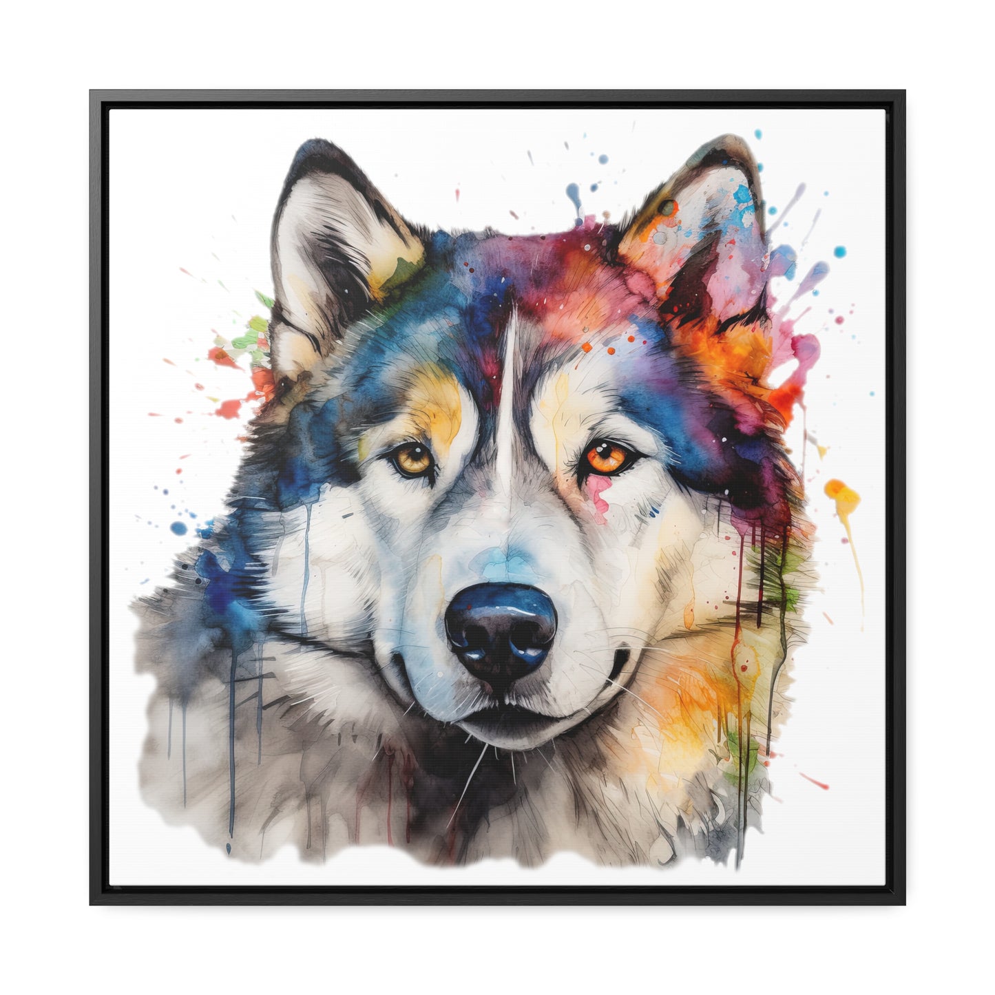 Alaskan Malamute 3 Gallery Canvas Wraps, Square Frame