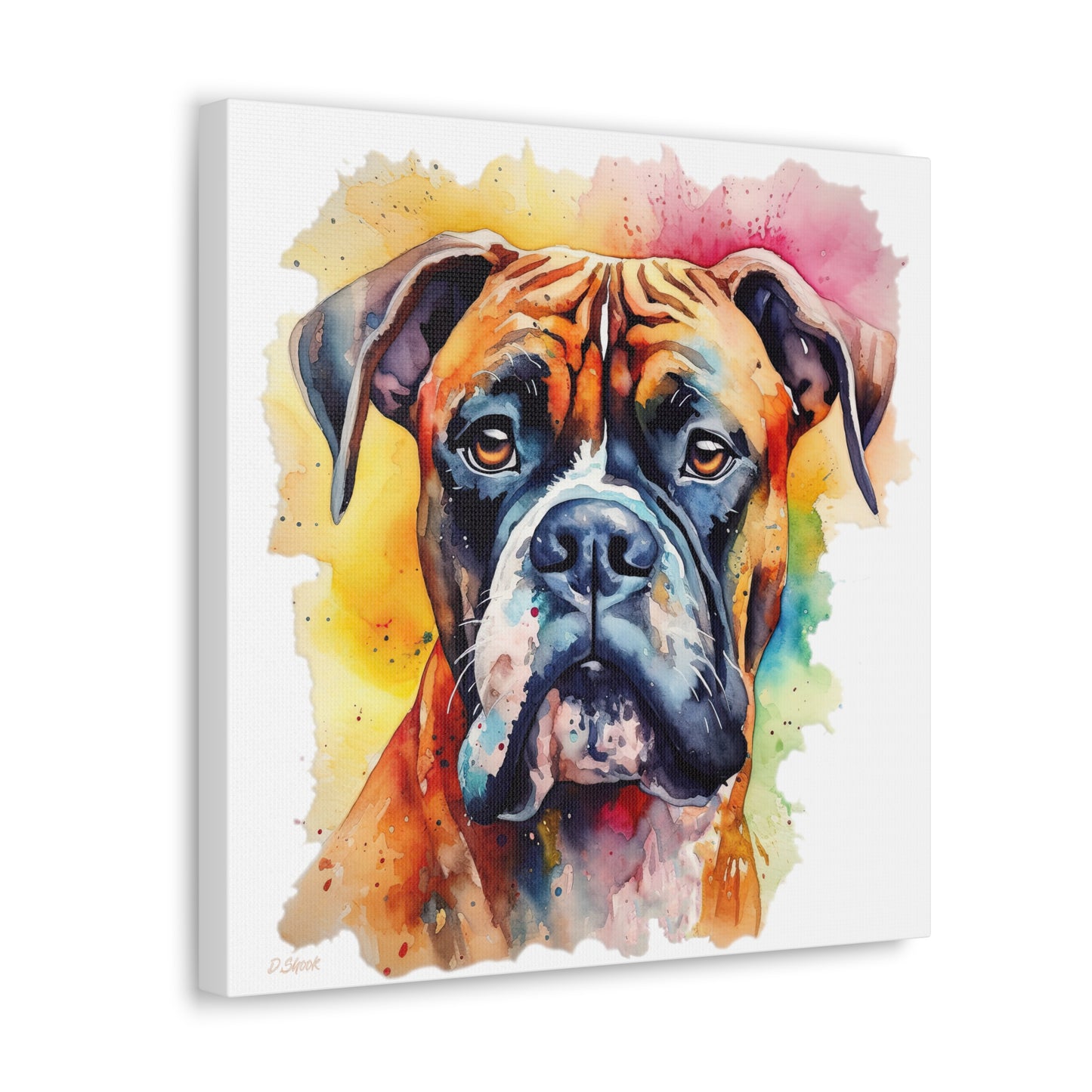 Boxer 1 Canvas Gallery Wraps
