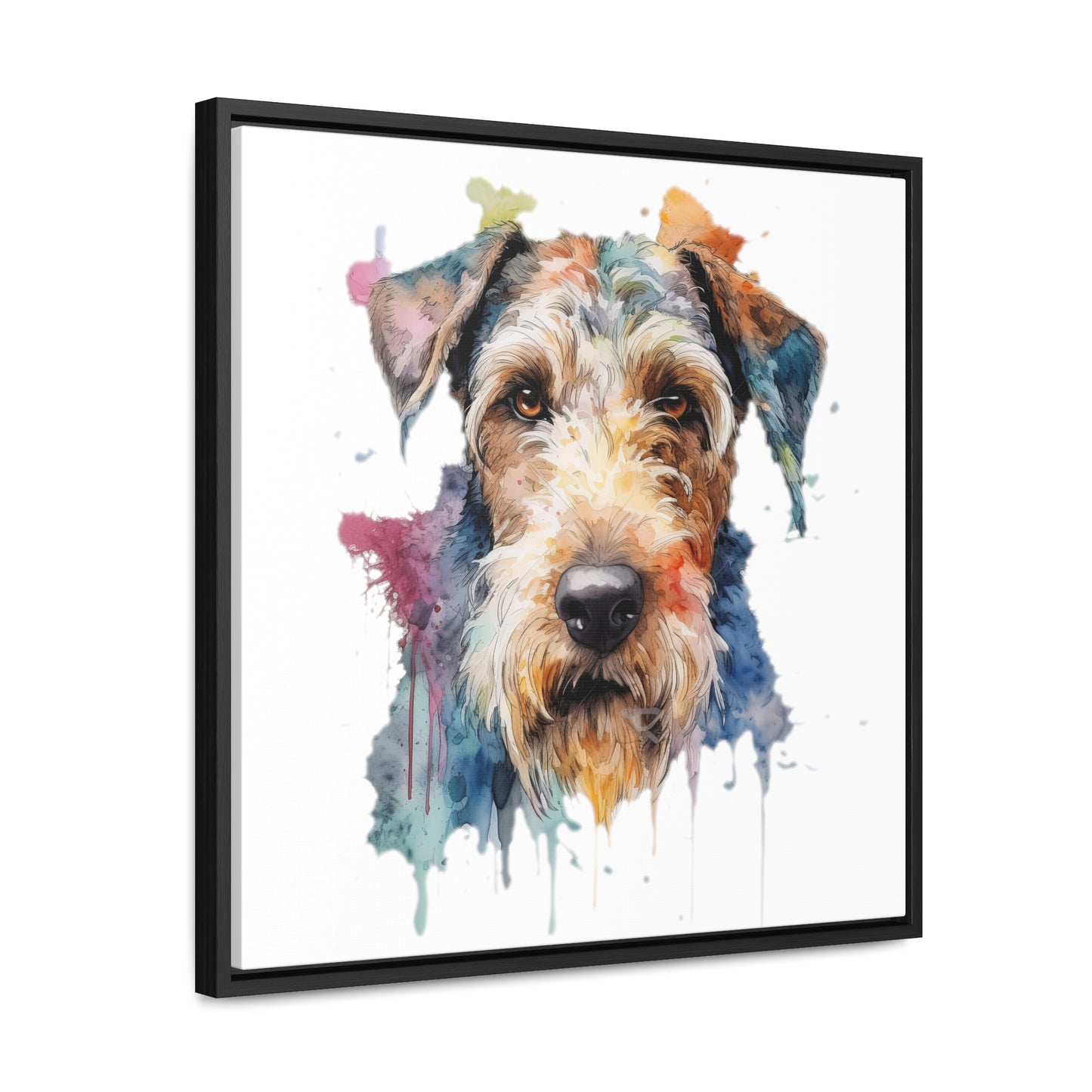 Airedale Terrier 2 Gallery Canvas Wraps, Square Frame