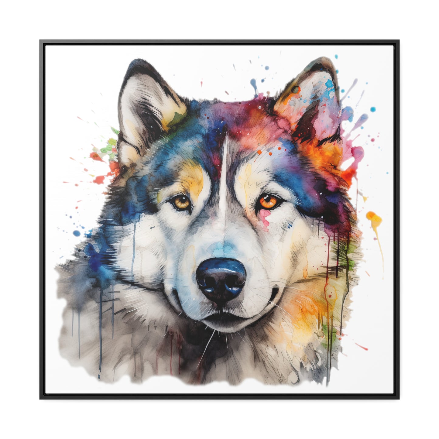 Alaskan Malamute 3 Gallery Canvas Wraps, Square Frame