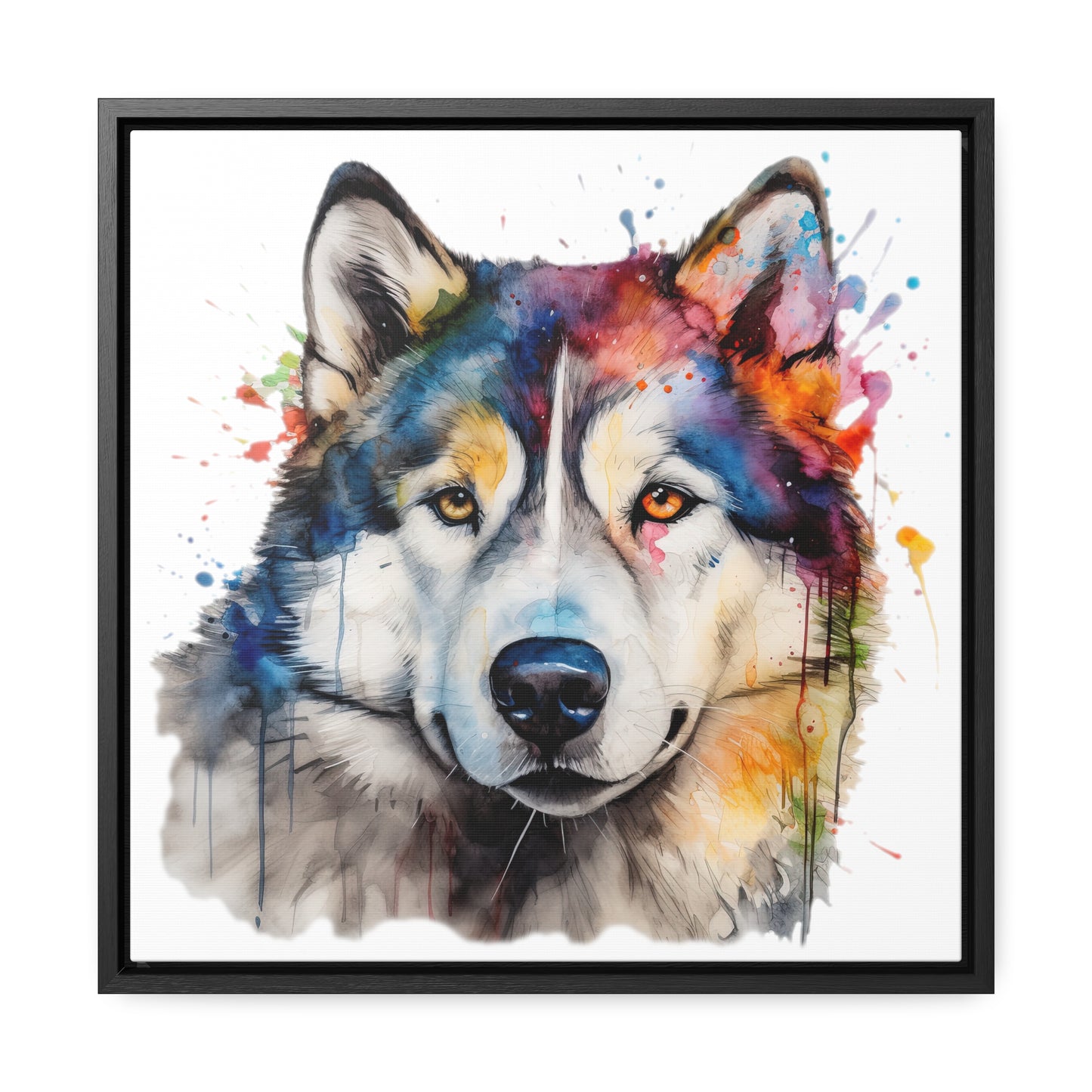 Alaskan Malamute 3 Gallery Canvas Wraps, Square Frame