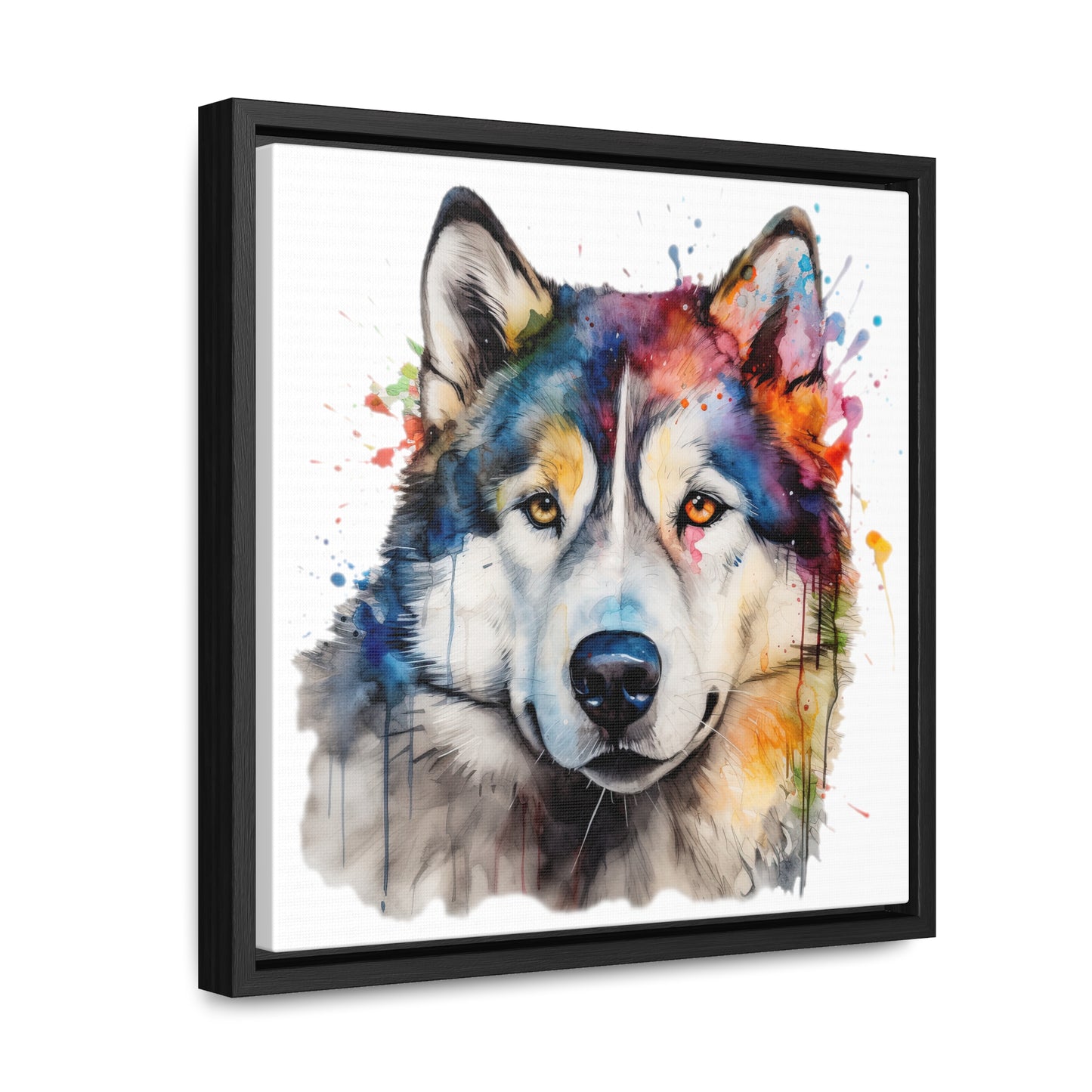 Alaskan Malamute 3 Gallery Canvas Wraps, Square Frame