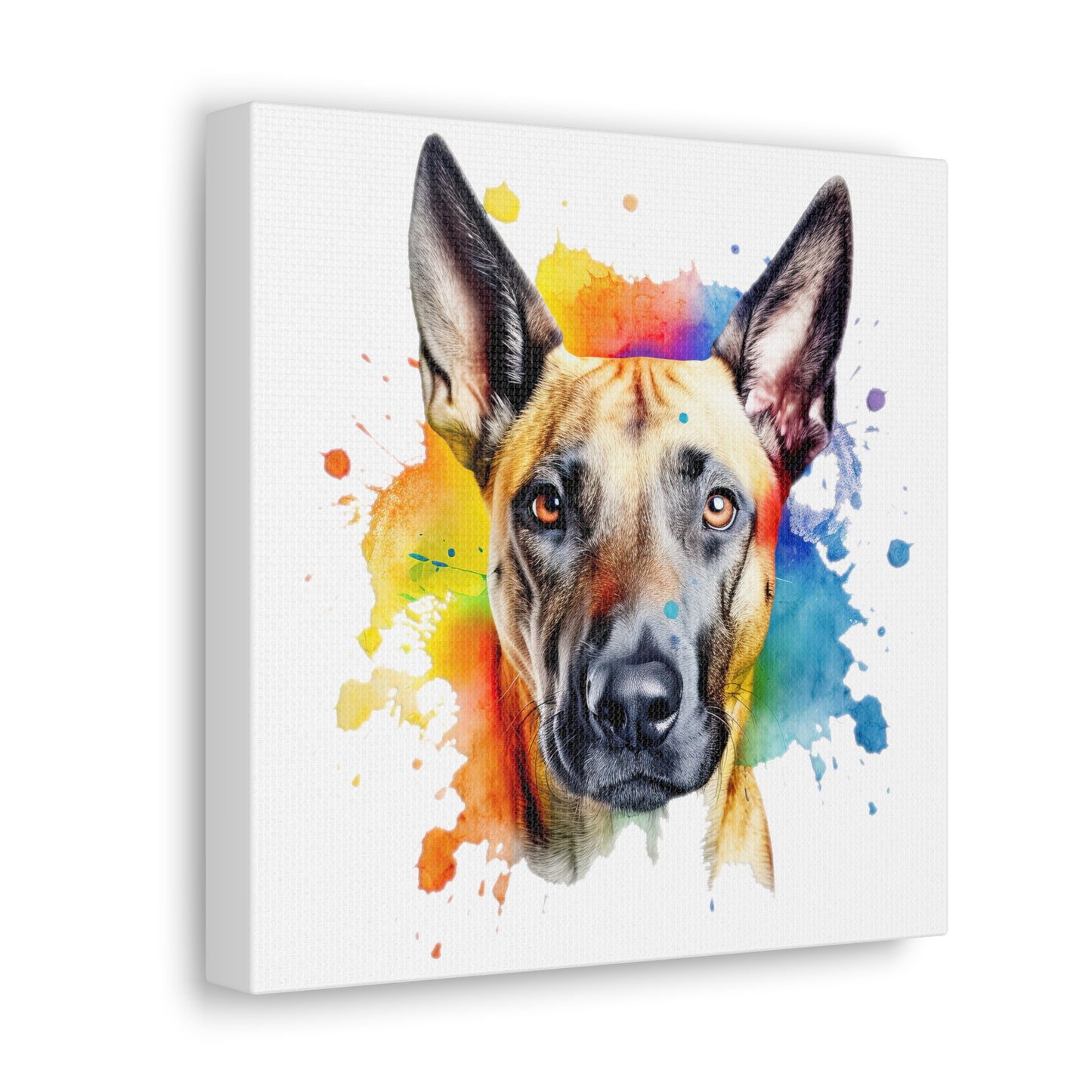 Belgium Malinois 3 Canvas Gallery Wraps