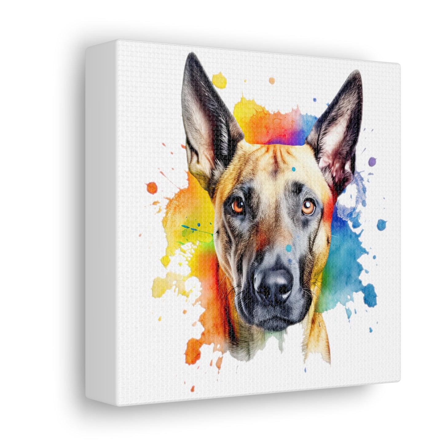 Belgium Malinois 3 Canvas Gallery Wraps