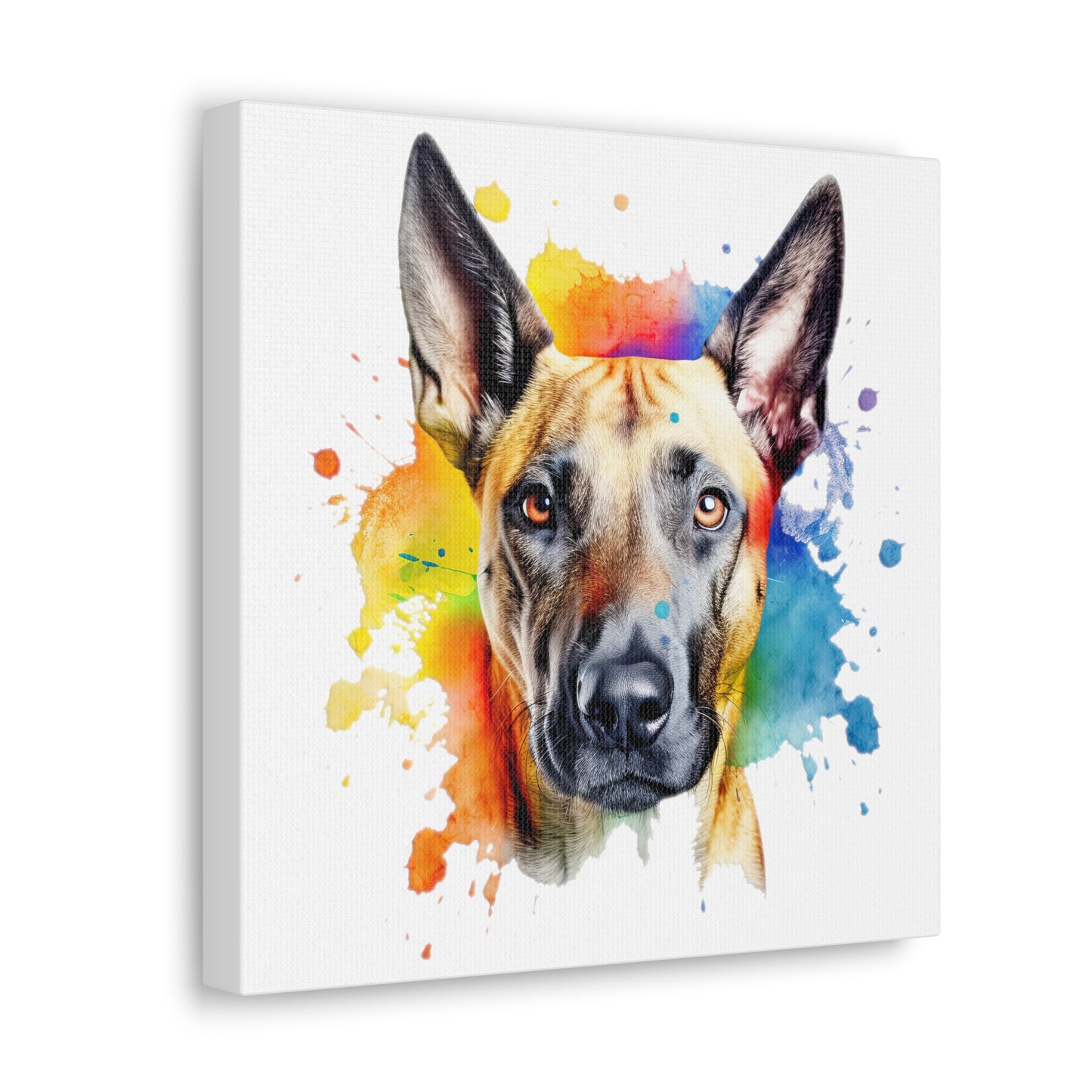 Belgium Malinois 3 Canvas Gallery Wraps