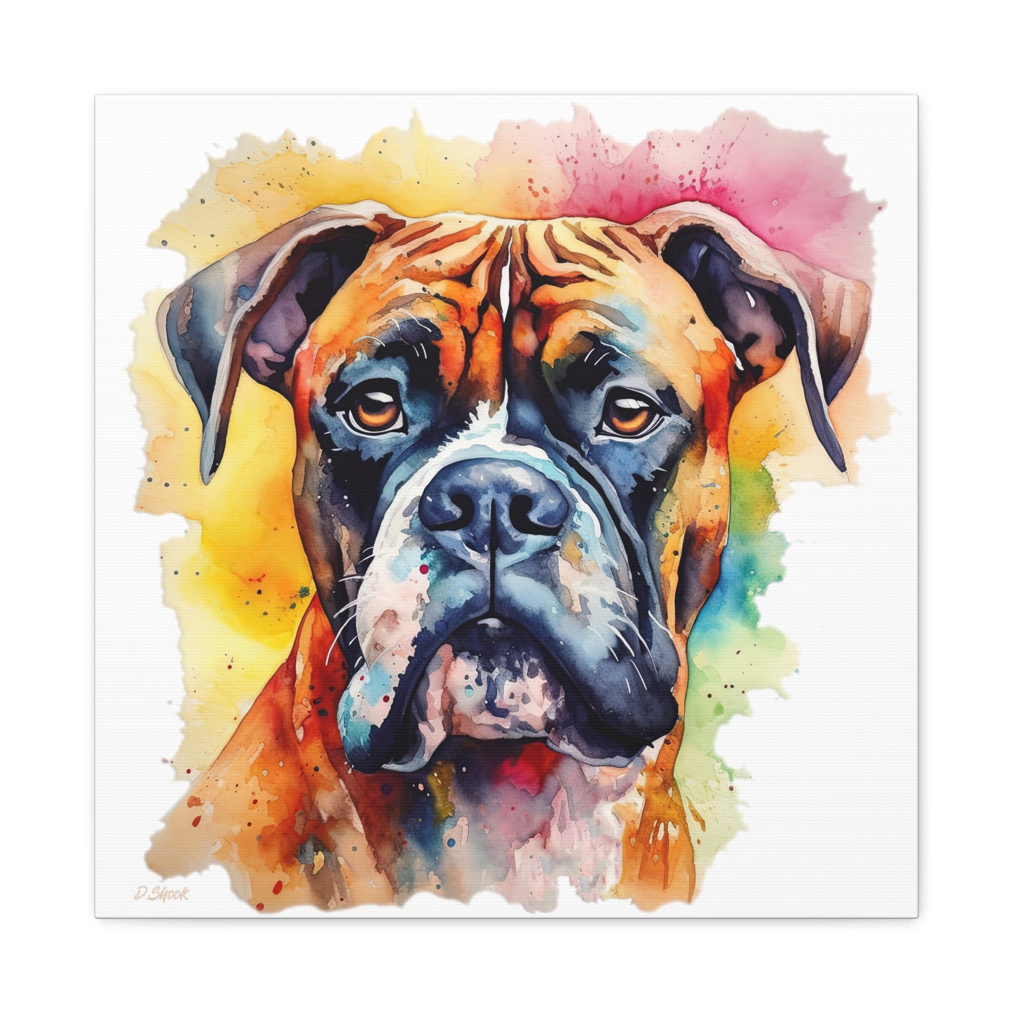 Boxer 1 Canvas Gallery Wraps
