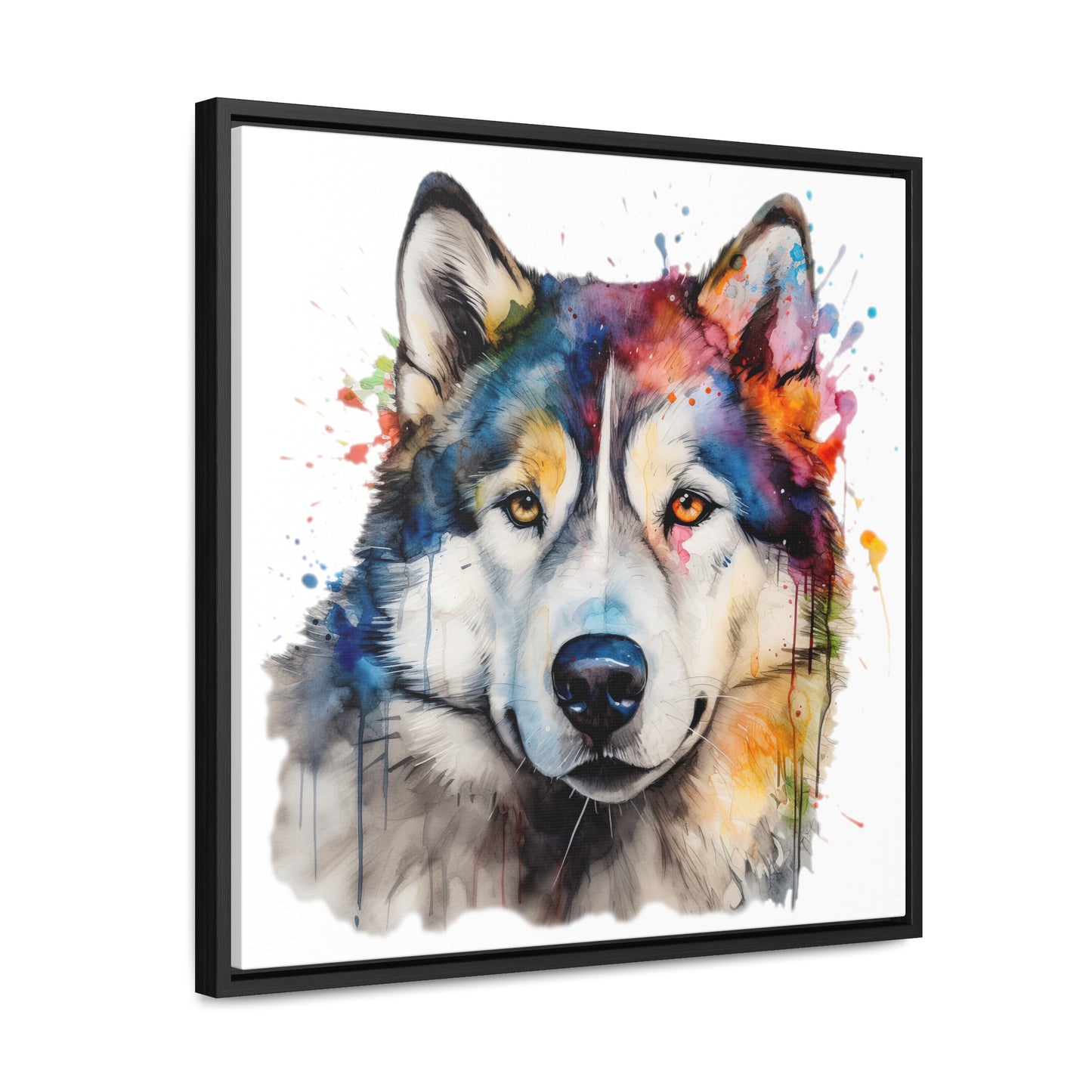 Alaskan Malamute 3 Gallery Canvas Wraps, Square Frame