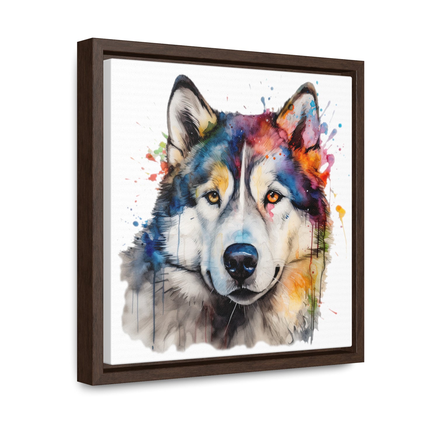 Alaskan Malamute 3 Gallery Canvas Wraps, Square Frame