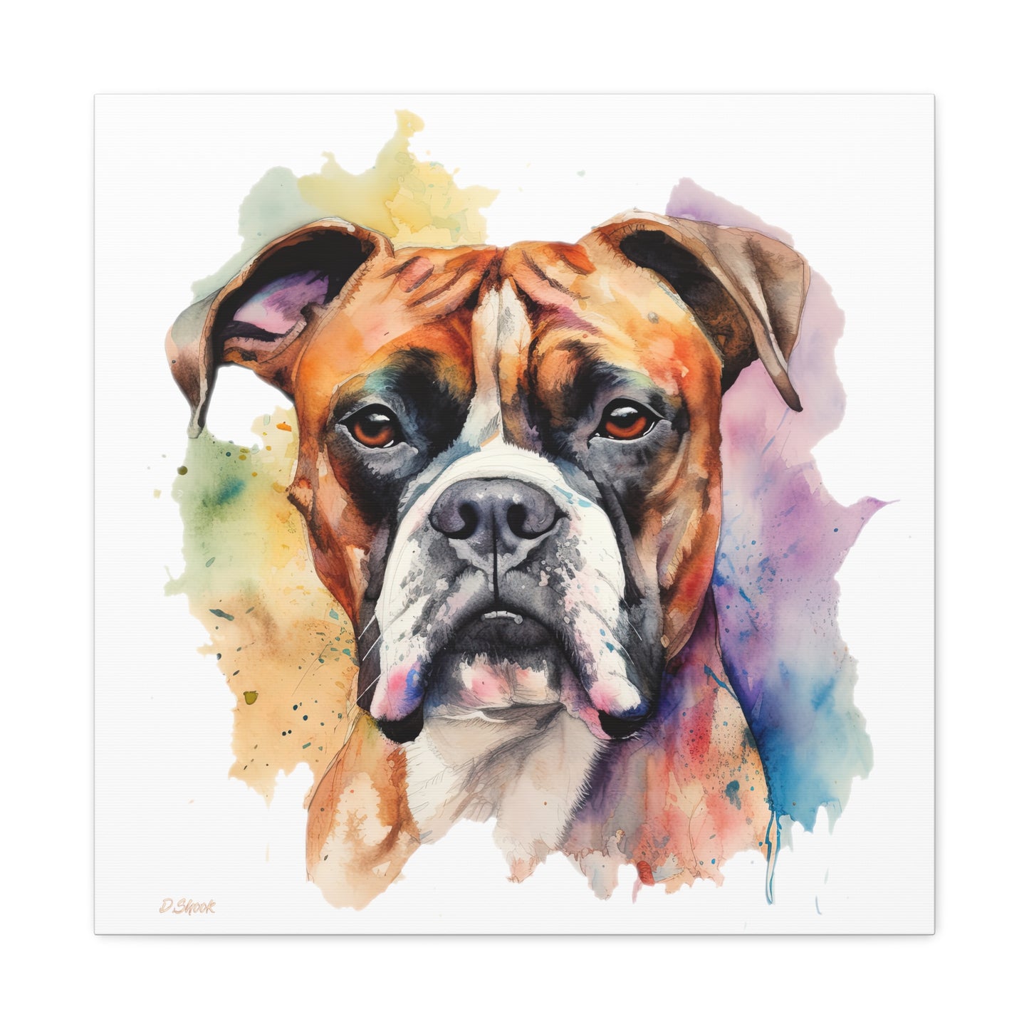 Boxer 2 Canvas Gallery Wraps