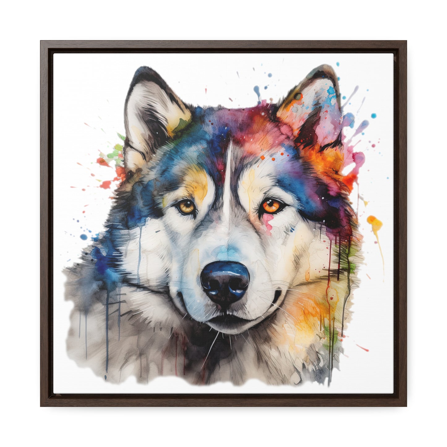 Alaskan Malamute 3 Gallery Canvas Wraps, Square Frame