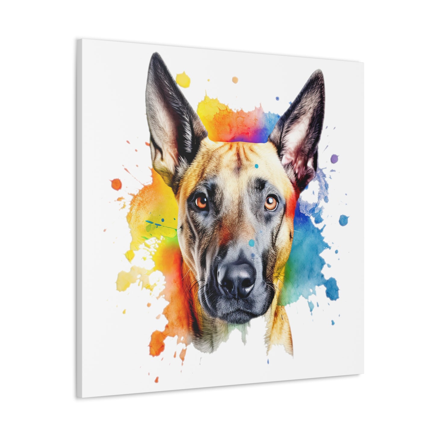 Belgium Malinois 3 Canvas Gallery Wraps
