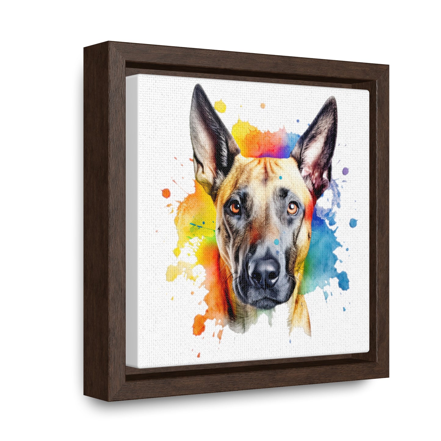 Belgium Malinois 3 Gallery Canvas Wraps, Square Frame