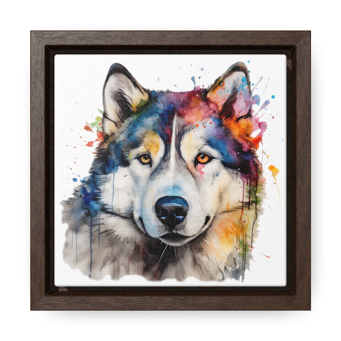Alaskan Malamute 3 Gallery Canvas Wraps, Square Frame