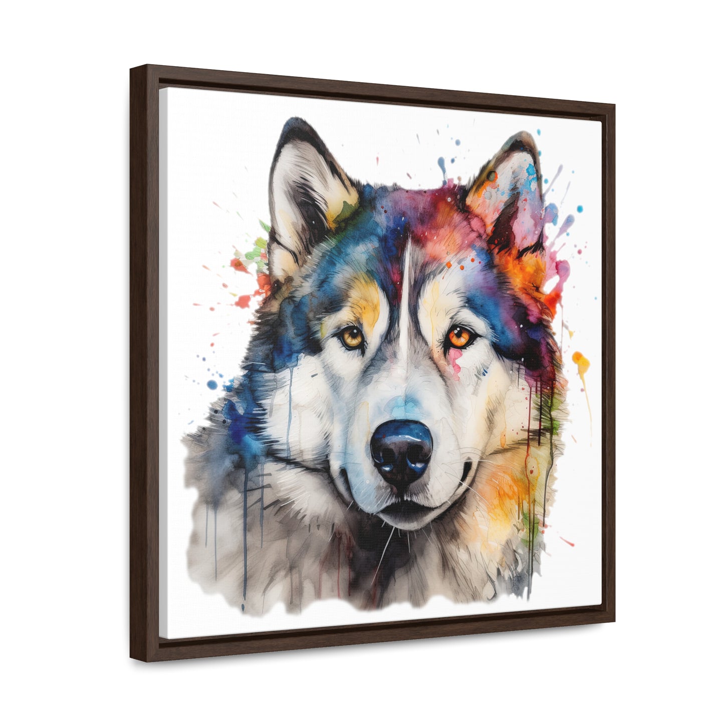 Alaskan Malamute 3 Gallery Canvas Wraps, Square Frame
