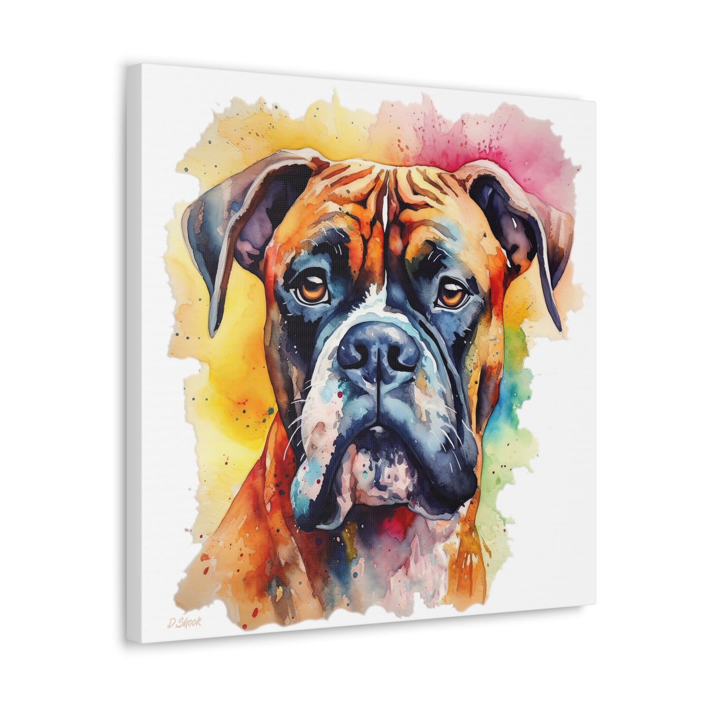 Boxer 1 Canvas Gallery Wraps