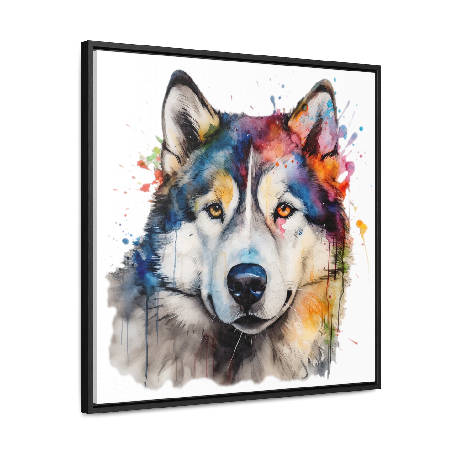 Alaskan Malamute 3 Gallery Canvas Wraps, Square Frame