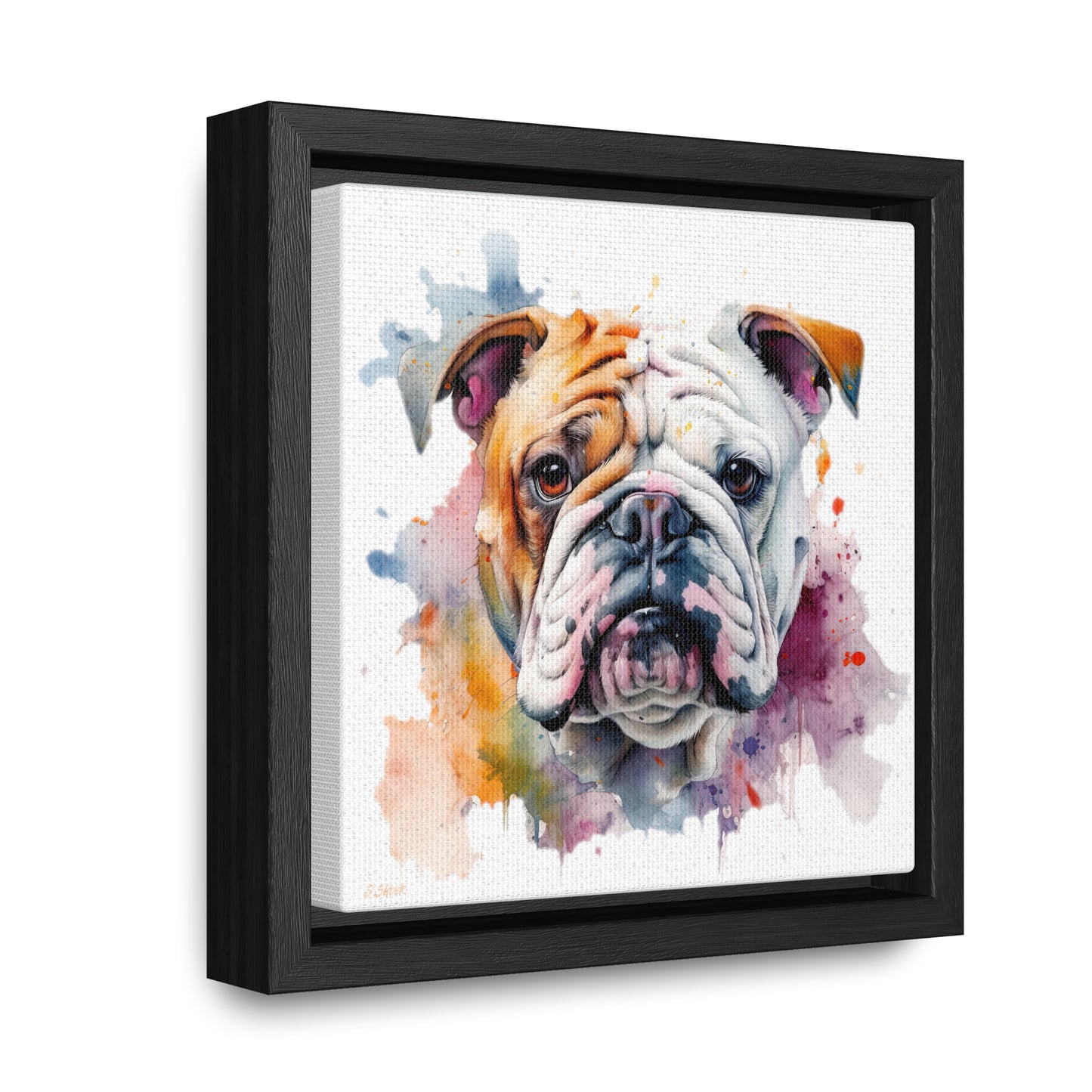 bulldog 1 Gallery Canvas Wraps, Square Frame