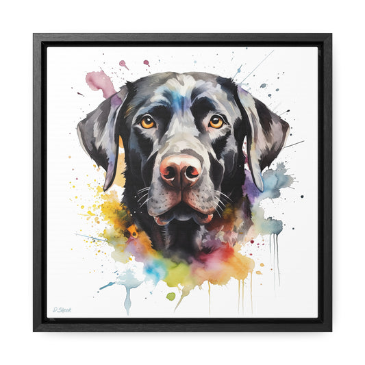 Black Lab 6 Gallery Canvas Wraps, Square Frame