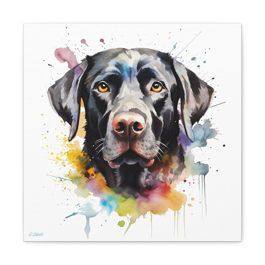 Black Lab 6 Canvas Gallery Wraps