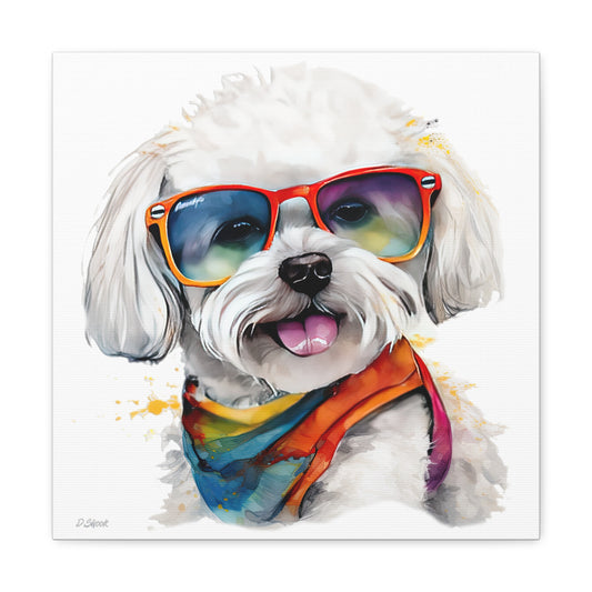 Bichon Frise 5 Canvas Gallery Wraps