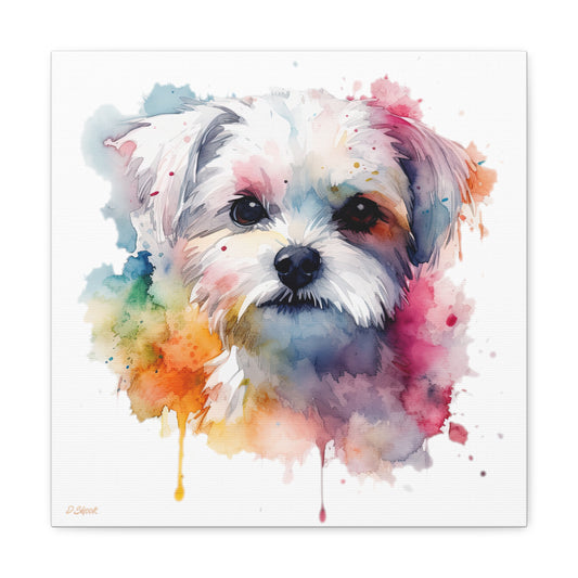 Maltese Dog 1 Canvas Gallery Wraps