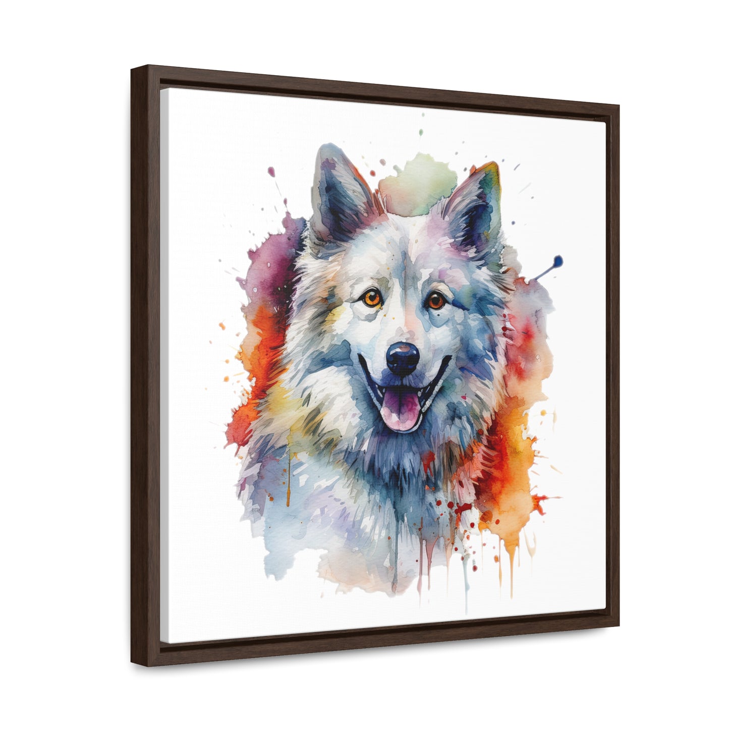 American Eskimo Dog 3 Gallery Canvas Wraps, Square Frame