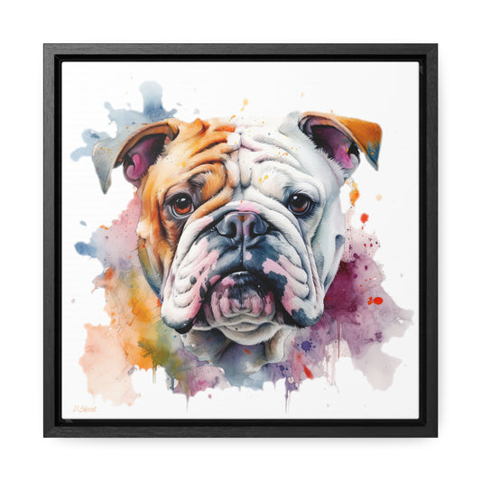 bulldog 1 Gallery Canvas Wraps, Square Frame