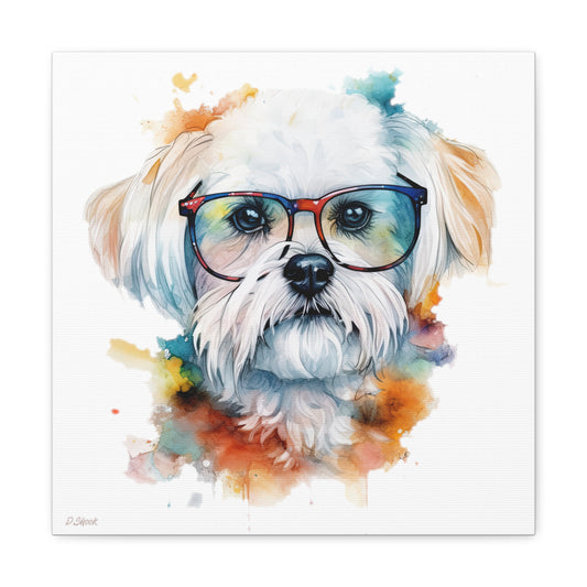 Maltese Dog 5 Canvas Gallery Wraps