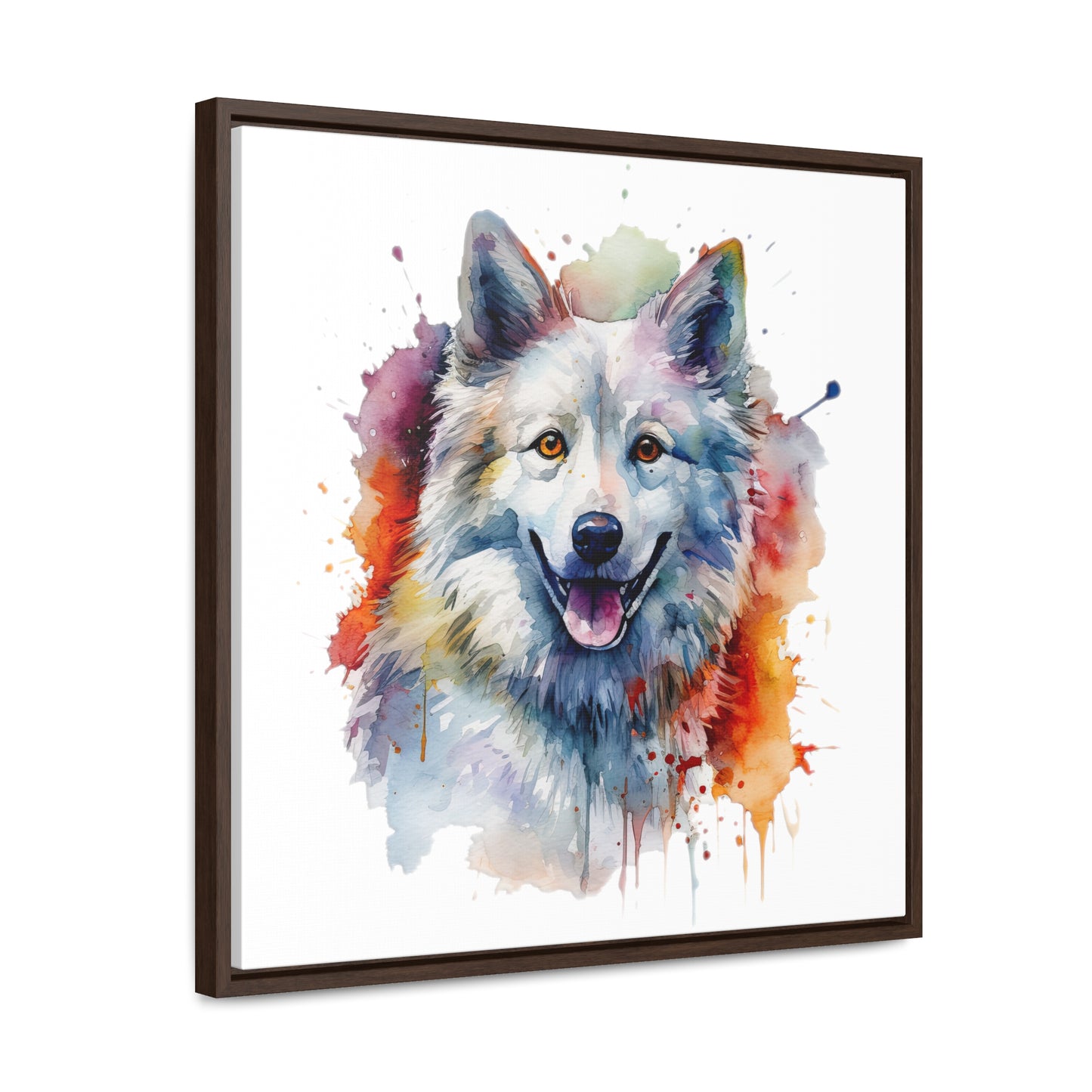 American Eskimo Dog 3 Gallery Canvas Wraps, Square Frame