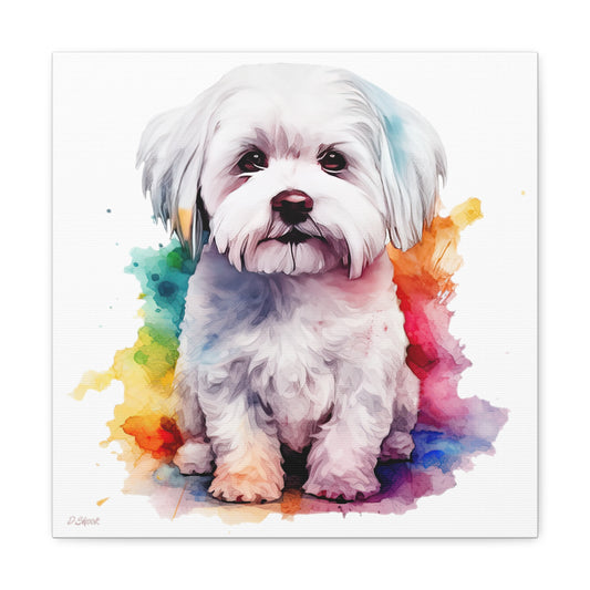 Maltese Dog 3 Canvas Gallery Wraps