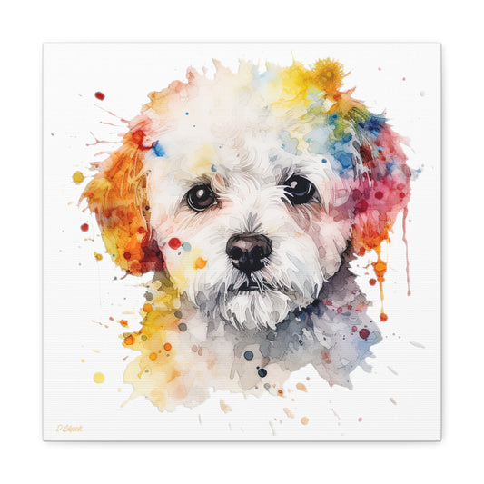 Bichon Frise 2 Canvas Gallery Wraps