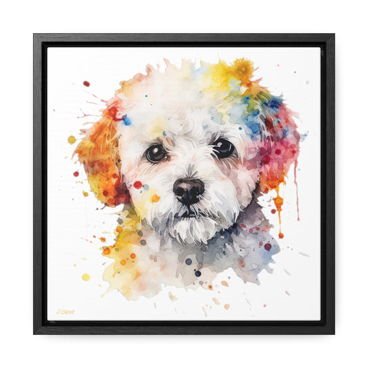 Bichon Frise 2 Gallery Canvas Wraps, Square Frame