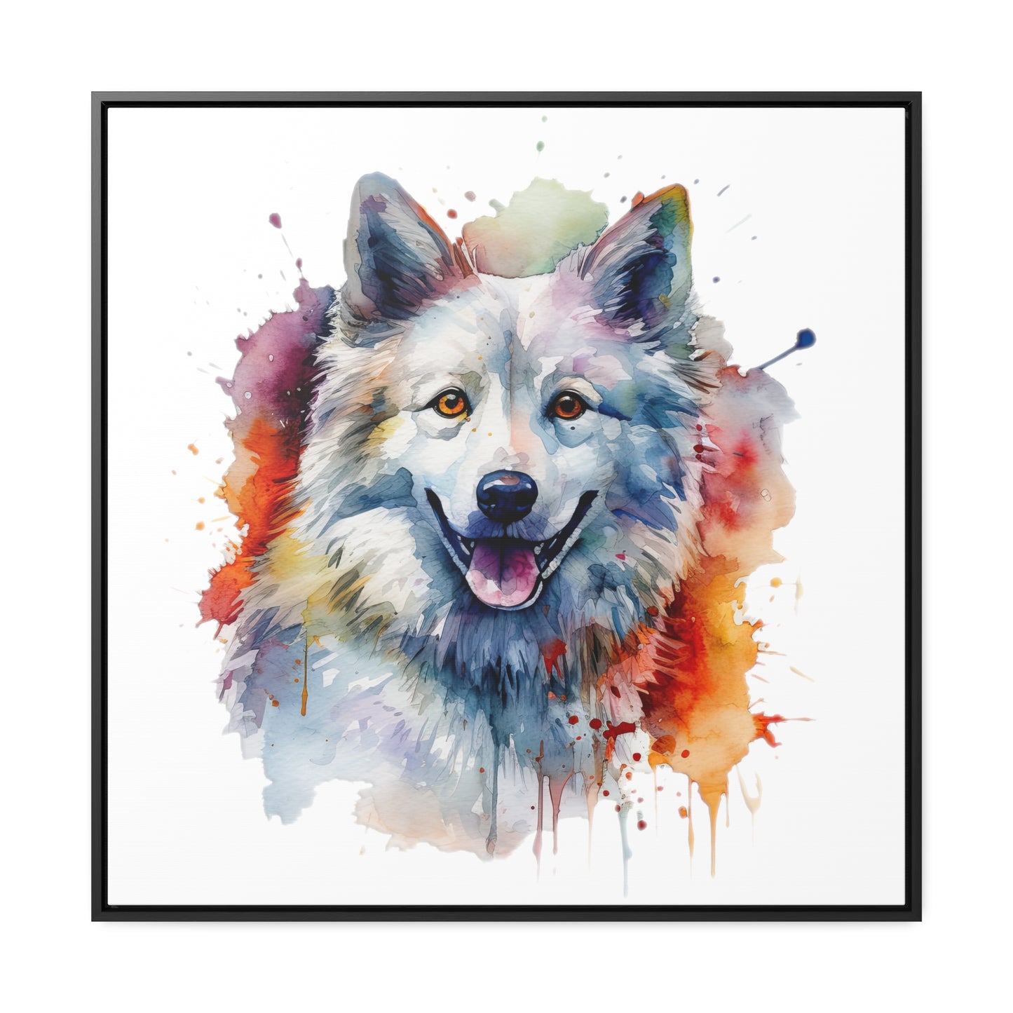 American Eskimo Dog 3 Gallery Canvas Wraps, Square Frame