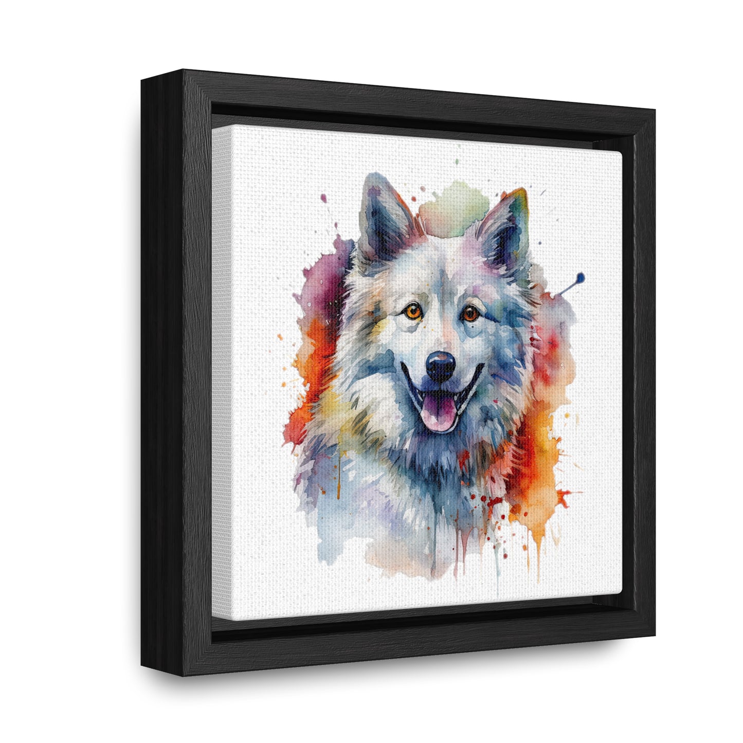 American Eskimo Dog 3 Gallery Canvas Wraps, Square Frame