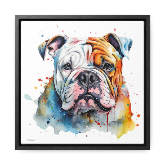 bulldog 3 Gallery Canvas Wraps, Square Frame