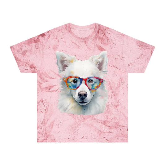 American Eskimo Dog 5 Unisex Color Blast T-Shirt